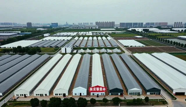 技术转让在应用开发中的性能表现与适用场景分析